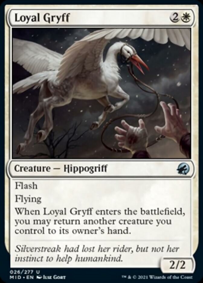 Loyal Gryff [Innistrad: Midnight Hunt]